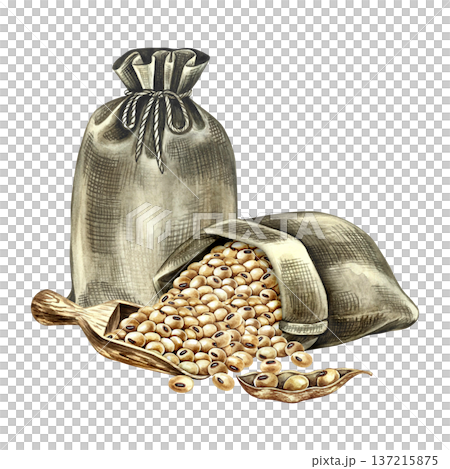 Burlap bags with soybeans and a wooden scoop. Hand-drawn watercolor illustration. Perfect for creating product labels, posters, banners, menus, and more. Burlap bags with soybeans and a wooden scoop. Hand-drawn watercolor illustration. Perfect for creating product labels, posters, banners, menus, and more. 137215875