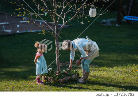 Little girl helping grandmother with yard work, planting spring flowers. Little girl helping grandmother with yard work, planting spring flowers. 137216782