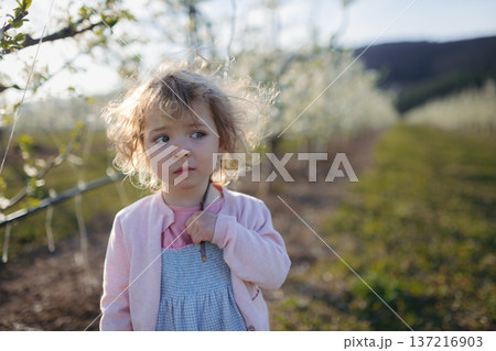 Small toddler girl standing outdoors in orchard. Small toddler girl standing outdoors in orchard. 137216903