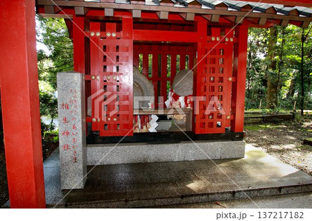 日本唯一の夢叶え大明神・夢結びの神様… 稲敷『大杉神社』の相生神社 日本唯一の夢叶え大明神・夢結びの神様… 稲敷『大杉神社』の相生神社 137217182