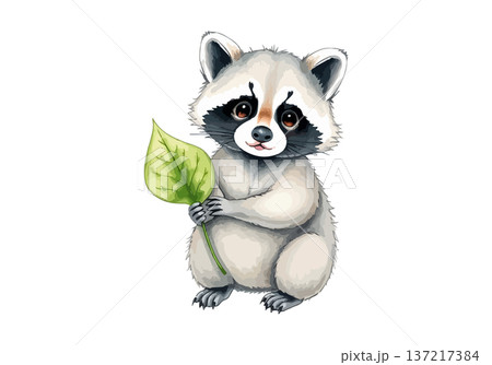 Watercolor vector illustration of a cute little racoon with green leaf. 137217384