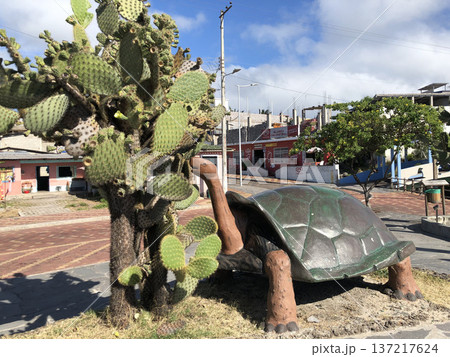 《ガラパゴス諸島》サンクリストバル島のモニュメント 137217624