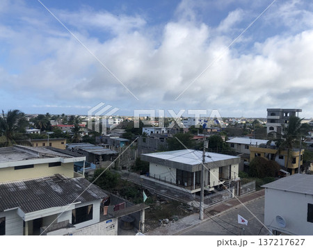 《ガラパゴス諸島》サンタクルス島内 137217627