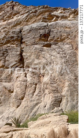Sheer Pale Cliff Face Featuring Small Cracks And Desert Vegetation. Vertical Monolithic Wall With Sparse Desert Plants At Base And Textured Surface For Visual Interest Sheer Pale Cliff Face Featuring Small Cracks And Desert Vegetation. Vertical Monolithic Wall With Sparse Desert Plants At Base And Textured Surface For Visual Interest 137217771