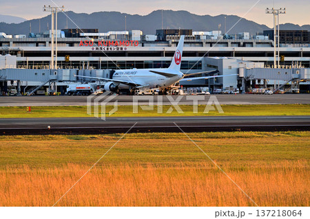 阿蘇くまモン空港 阿蘇くまモン空港 137218064