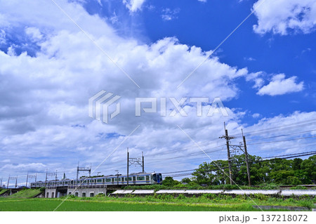 西日本鉄道田園を走る電車 137218072