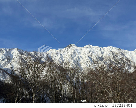 日本の北アルプス青空に聳える五竜岳 137218401