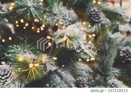 Christmas tree holiday background. Xmas magic and beauty. Fluffy pine tree branches with pinecones, sprinkled with snow and decorated with shiny garland, closeup 137218513