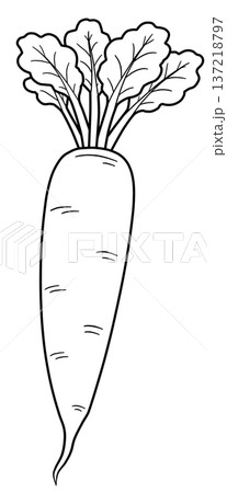野菜の線画色々 137218797