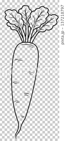 野菜の線画色々 137218797
