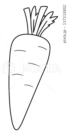 野菜の線画色々 野菜の線画色々 137218802