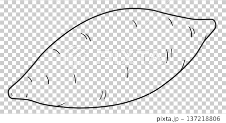 Various vegetable line drawings Various vegetable line drawings 137218806