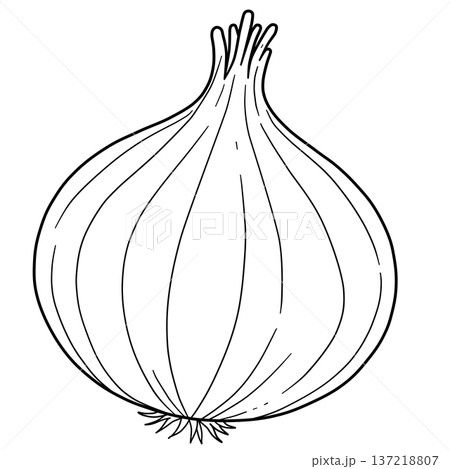 野菜の線画色々 野菜の線画色々 137218807