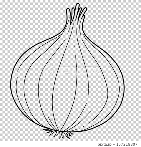 Various vegetable line drawings 137218807