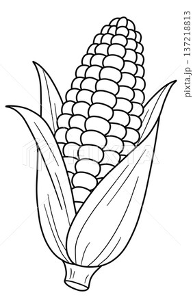 野菜の線画色々 137218813