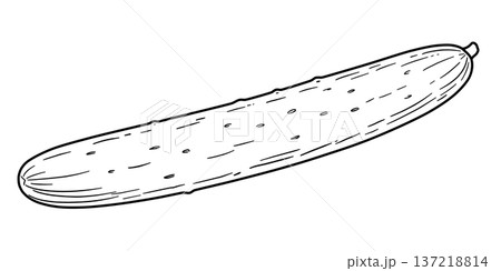 野菜の線画色々 137218814