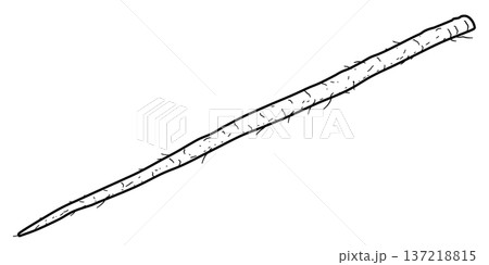 野菜の線画色々 137218815