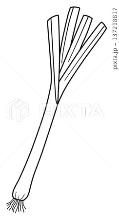 野菜の線画色々 野菜の線画色々 137218817