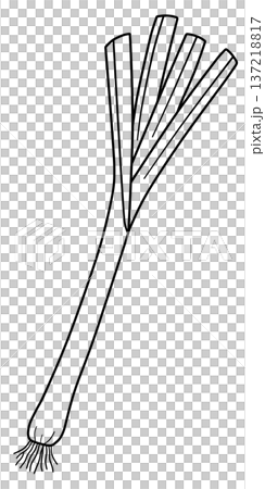 Various vegetable line drawings Various vegetable line drawings 137218817