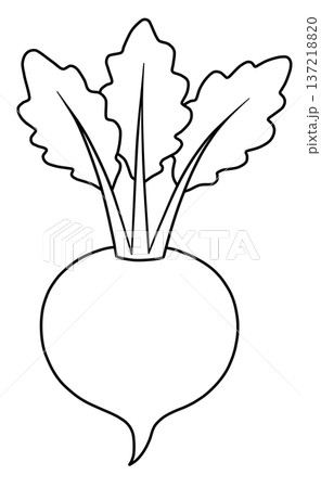 野菜の線画色々 野菜の線画色々 137218820