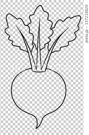 野菜の線画色々 野菜の線画色々 137218820