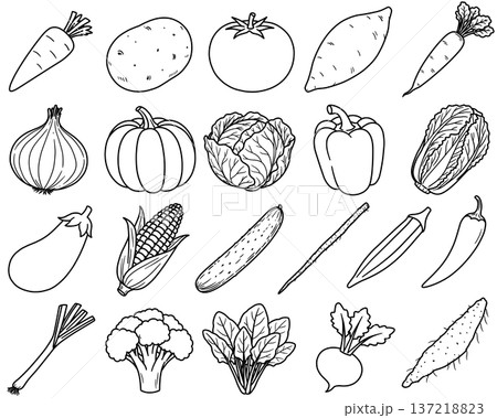 野菜の線画色々 137218823