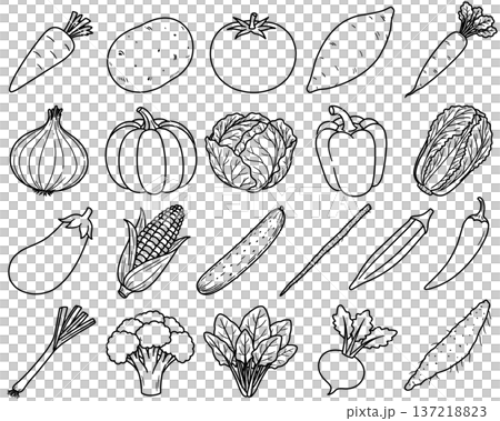Various vegetable line drawings Various vegetable line drawings 137218823