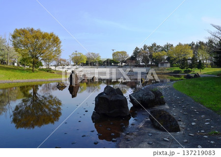 庄内空港緩衝緑地 庄内空港緩衝緑地 137219083