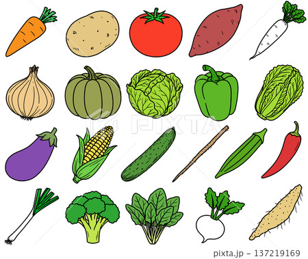野菜色々 137219169