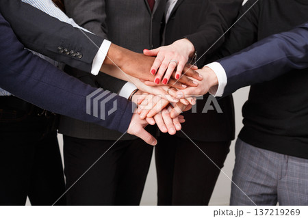Multiethnic team put hands together, connection, teambuilding and alliance concept. Crop of people in office unite for teamwork and cooperation. 137219269