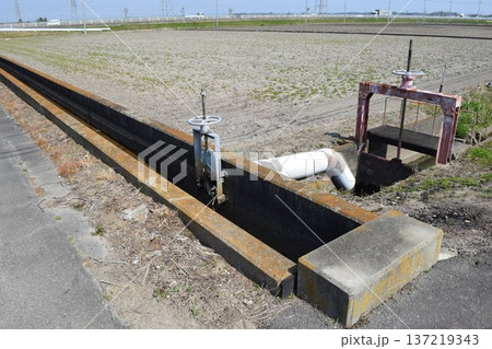 農業用水路兼排水路 茨城県 農業用水路兼排水路 茨城県 137219343