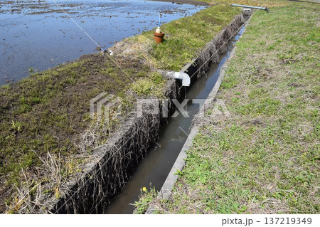 農業用水路兼排水路 茨城県 137219349