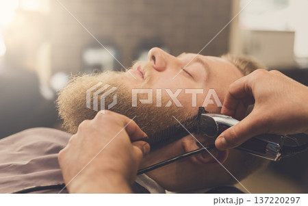 Barber styling beard at barbershop, closeup. Stylish hairdresser in male hair salon cutting hair with scissors Barber styling beard at barbershop, closeup. Stylish hairdresser in male hair salon cutting hair with scissors 137220297