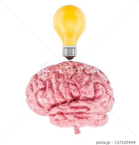 Human brain with yellow light bulb idea symbol and creativity concept, 3d rendering Human brain with yellow light bulb idea symbol and creativity concept, 3d rendering 137220449
