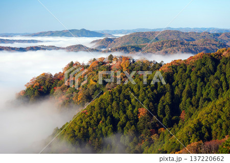 備中松山城3741 137220662