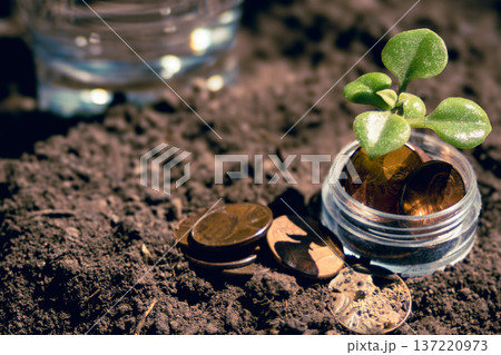 Young plant sprouting from a small jar of coins in rich soil, symbolizing sustainable financial growth, eco-friendly investment, and responsible climate change funding initiatives Young plant sprouting from a small jar of coins in rich soil, symbolizing sustainable financial growth, eco-friendly investment, and responsible climate change funding initiatives 137220973