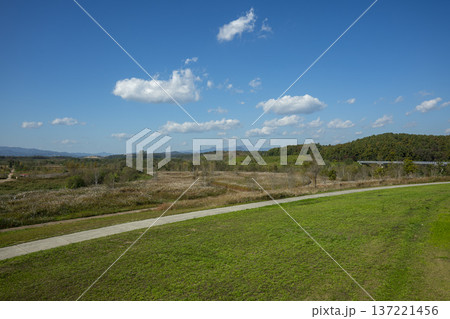Han River bike path 137221456