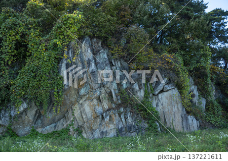 Han River bike path 137221611