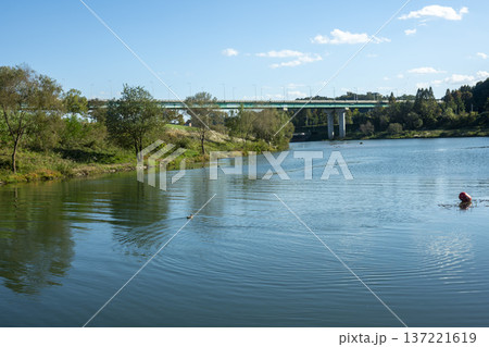 Han River bike path 137221619