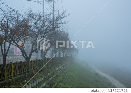 Han River bike path 137221791
