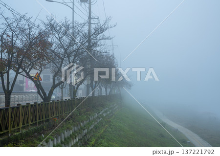 Han River bike path Han River bike path 137221792