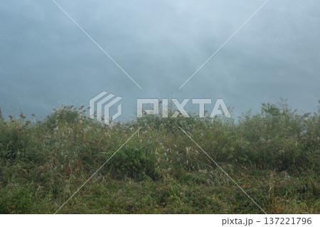 Han River bike path 137221796