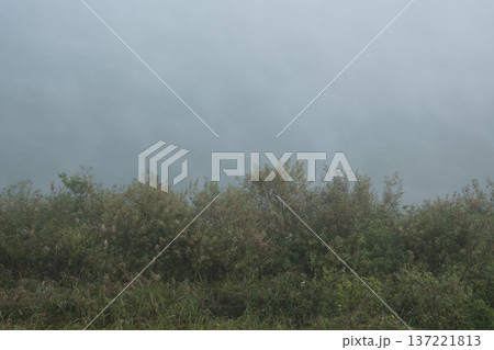 Han River bike path 137221813