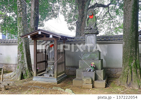 愛染院(練馬) 愛染院(練馬) 137222054