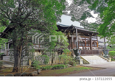愛染院(練馬) 愛染院(練馬) 137222055