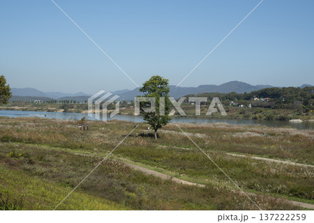 Han River bike path Han River bike path 137222259