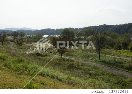 Han River bike path Han River bike path 137222451