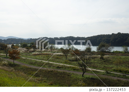 Han River bike path 137222453