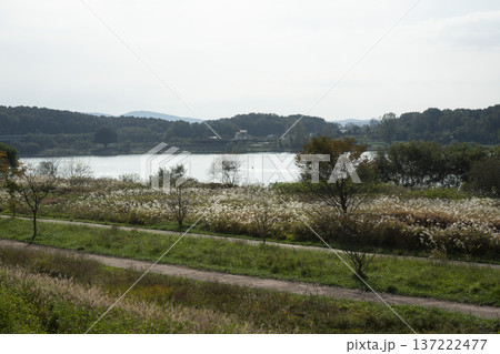 Han River bike path 137222477
