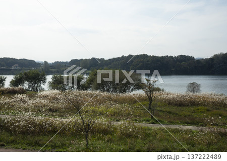 Han River bike path Han River bike path 137222489